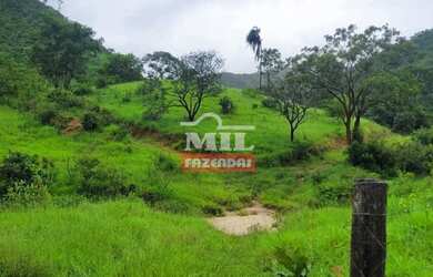 Imagem 16: Fazenda 337 Alqueires 1.638 Hectares Niquelandia - Go