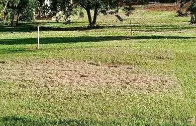 Imagem 2: Lote alagado salto caxias