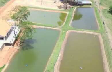 Imagem: A fazenda possui 7m² de Área e está localizado em Heitoraí