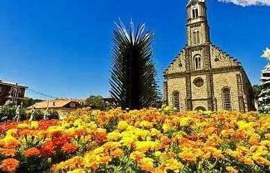 Imagem 9: Terreno - Bairro Avenida Central