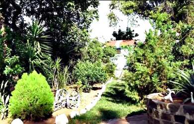 Imagem 11: RESIDÊNCIA - PALMAS DEL REY