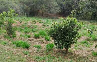 Imagem: A chácara possui 1.200m² de Área e está localizado em Riacho