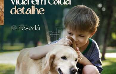 Imagem 16: Casa à venda na Planta , Iconha, Guapimirim, RJ