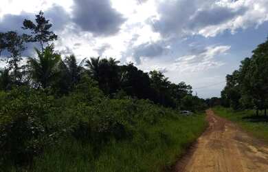 Imagem 13: Fazenda com 90 hectares na vila Equador/RR, ler descrição do anuncio