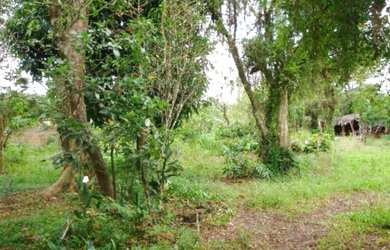 Imagem 5: Terreno em Belém Novo. Imóvel novoe332m² de Área