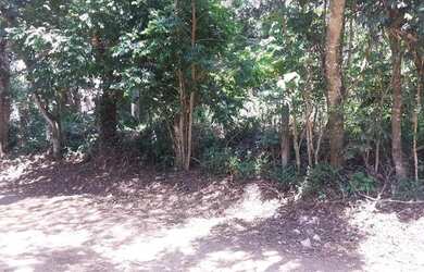 Imagem 4: Terreno à venda, 1000 m² por R$ 350.000,00 - Granja Viana - Cotia/SP