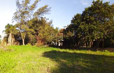 Imagem 14: Terreno em Rondinha. 331m² de Área