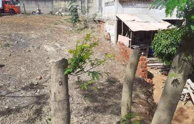 Imagem 4: Lote São Carlos 2 Etapa. 384m² de Área