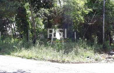 Imagem 2: Terreno em Bom Jesus. 981m² de Área