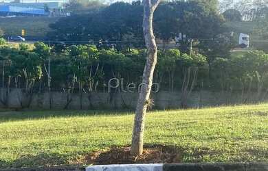 Imagem 2: Venda Terreno com 1.000,00 metroQuadrado. Joapiranga, Valinhos