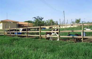 Imagem 14: Sitio no Bairro Varandas Do Tiete na cidade de Iacanga