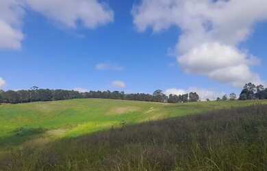 Imagem 12: Lote/Terreno para venda tem 500 metros quadrados em Jardim Helena - Carapicuíba...