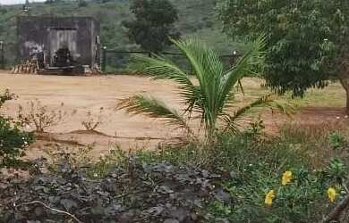 Imagem 6: FAZENDA EM BOA VISTA DO TUPIM - 6000 TAREFAS