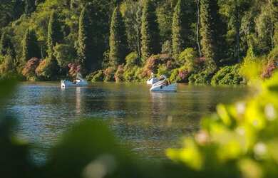 Imagem 13: Terreno - Bairro Serra Grande