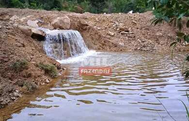 Imagem 4: Fazenda 337 Alqueires 1.638 Hectares Niquelandia - Go
