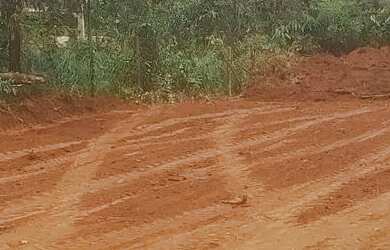 Imagem: Lotes no asfalto em ótima localização