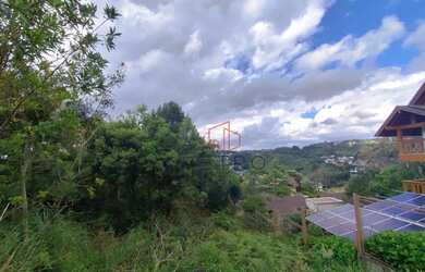 Imagem 12: Terreno à Venda em Gramado