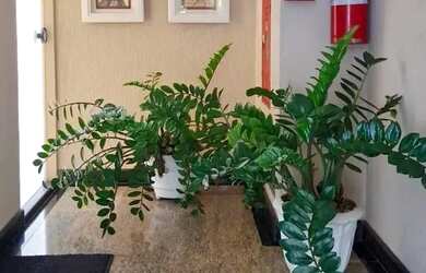 Imagem 10: Imóvel para venda tem 69 metros quadrados com 2 quartos em Pituba - Salvador...