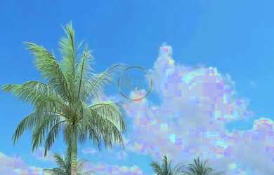 Imagem 7: Venda Apartamento 2 Dorm. em Orla Taperapuã - Porto Seguro