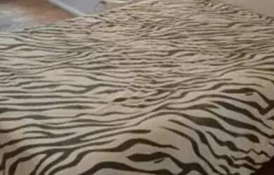 Imagem 11: Alugo temporada longa Copacabana