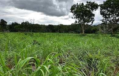 Imagem 3: Fazenda Niquelandia. 1.580.000m² de Área