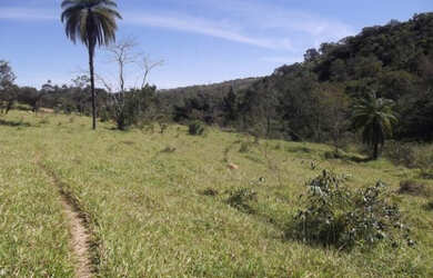 Imagem: A fazenda está localizado em Jaboticatubas, MG à venda por