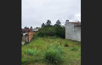 Imagem 3: Terreno em Araquari. 250m² de Área