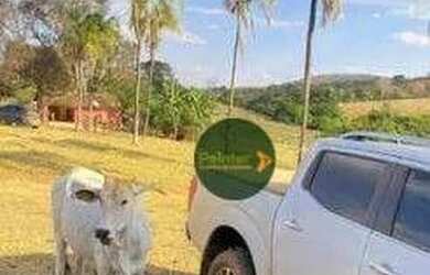 Imagem 6: Fazenda à venda, 5808000 m² por R$ 12.000.000 - Jardim Santa Barbara - Pirenópolis/GO