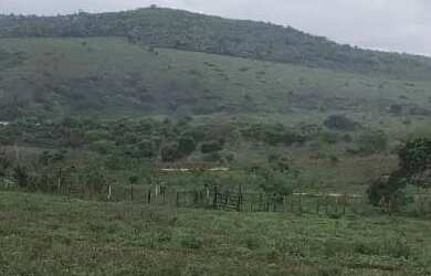 Imagem 2: FAZENDA EM BOA VISTA DO TUPIM - 6000 TAREFAS