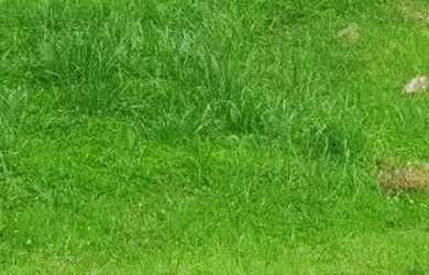 Imagem 2: Terreno em Condomínio para Venda em Cotia, Jardim Torino Village Los...