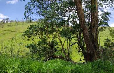 Imagem 7: Terreno 5x30 escritura e matrícula registrada em cartório