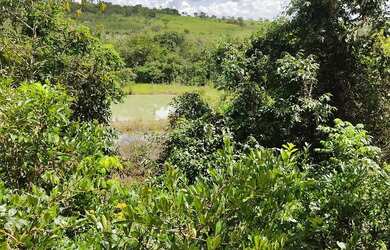 Imagem 3: Chacara De Lazer A 50 Km De Caldas Novas Em Santa Cruz De Goias