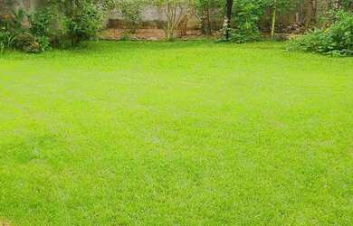 Imagem 5: lOTES.A VENDA. T 22.l. 60m² de Área