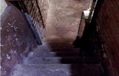 Imagem 6: Casa em Jardim Carvalho