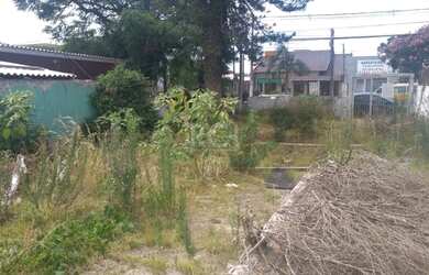 Imagem 3: Terreno em Tristeza. 331m² de Área