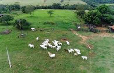 Imagem: A fazenda possui 300.000m² de Área e está localizado em