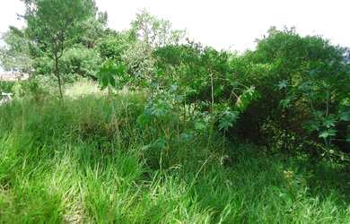 Imagem 7: Terreno em Altos do Ipê. 351m² de Área