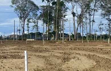 Imagem 3: Lote no bouganville. 