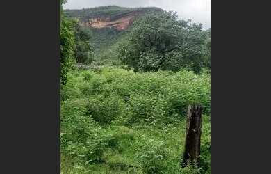 Imagem 6: .Uma fazenda 170 alqueires 52 km de Porto