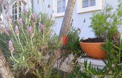 Imagem 4: Casa com 6 dormitórios à venda, 400 m² por R$ 1.315.000,00 - Balneário...