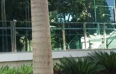 Imagem: O apartamento possui 1 Dormitório, 3 Banheiros, 1 Vaga na garagem