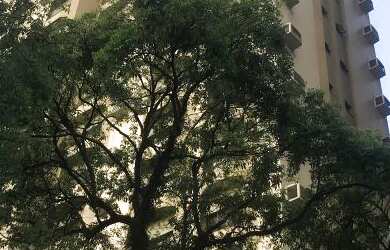 Imagem: O apartamento possui 3 Dormitórios, 1 Vaga na garagem, 122m²