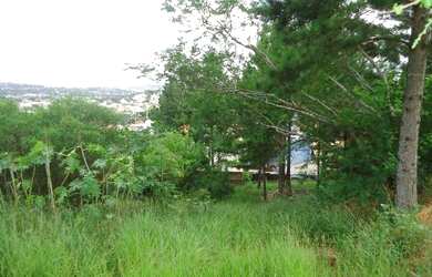 Imagem 4: Terreno em Altos do Ipê. 351m² de Área