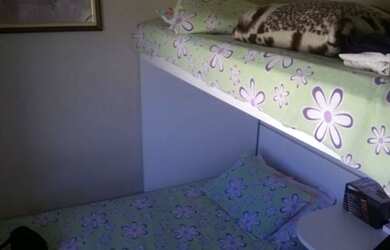 Imagem 14: Casa em Tristeza. Churrasqueira, Área de serviço, Lareirae3 Vagas na...