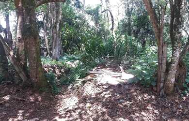 Imagem 1: Terreno à venda, 1000 m² por R$ 350.000,00 - Granja Viana - Cotia/SP