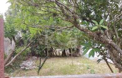 Imagem 3: Terreno em Medianeira. 441m² de Área