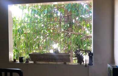 Imagem 5: Prédio no bairro Benfica com 600 m2