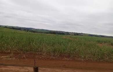 Imagem 3: 92 de cana em Floreal/SP. 302.500m² de Área