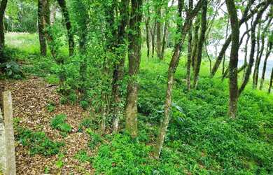 Imagem 6: Venda de Terreno em Condomínio em Caxias do Sul-RS, bairro Nossa Senhora...