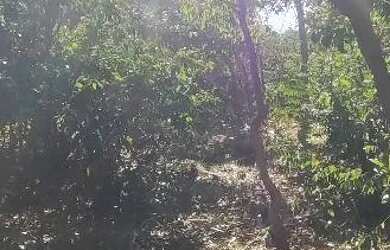 Imagem 5: Terreno. 1.600m² de Área